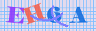Validation Code: